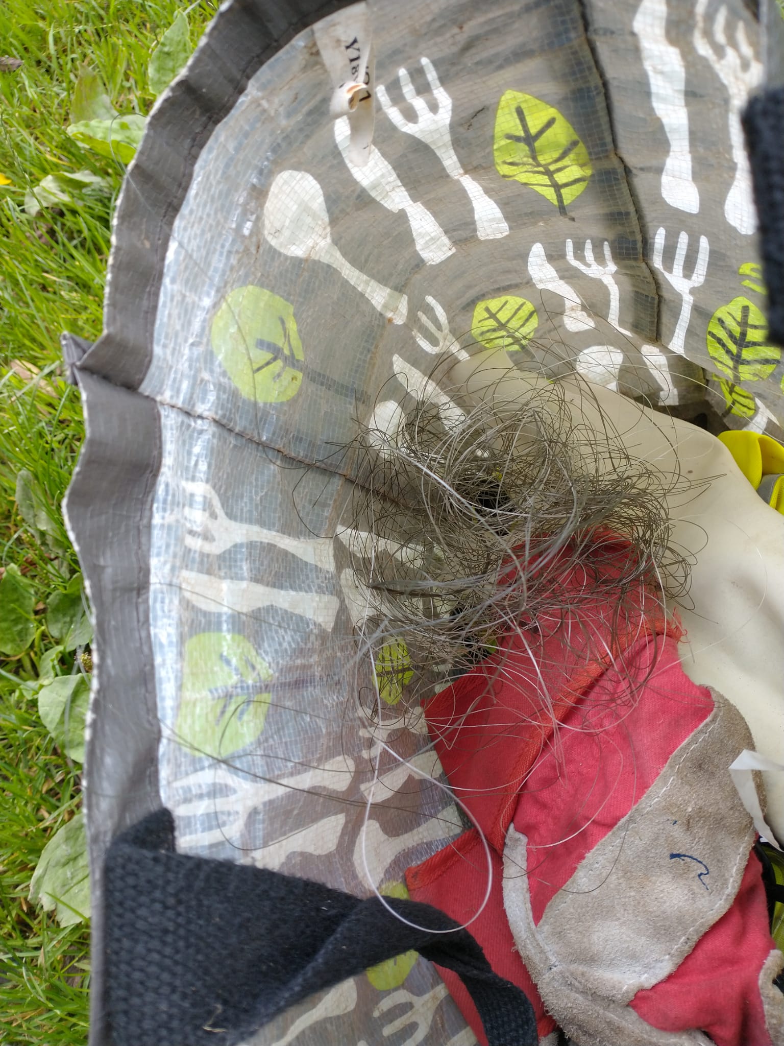 A large amount of discarded fishing line in a bag