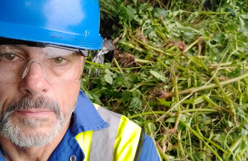 Cllr Tim Nelson wearing a blue hard hat standing in front of Himalayan Balsam