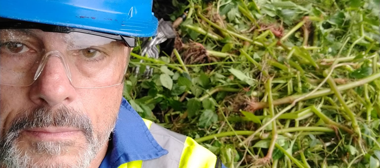 Cllr Tim Nelson wearing a blue hard hat standing in front of Himalayan Balsam
