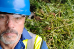 Cllr Tim Nelson wearing a blue hard hat standing in front of Himalayan Balsam